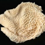 Beef Tripe (Bhuri) [ Save 95 Yen ]