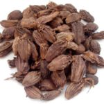 Brown Cardamom / Big Elachi 50g.