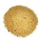 Urad Dal White (Mashkalai) - Washed