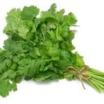 Coriander Leaf / Dhania Pata (Green) Fresh / Frozen