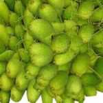 Kakrol