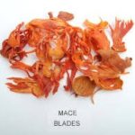 Mace / Jaytri Leaf20g